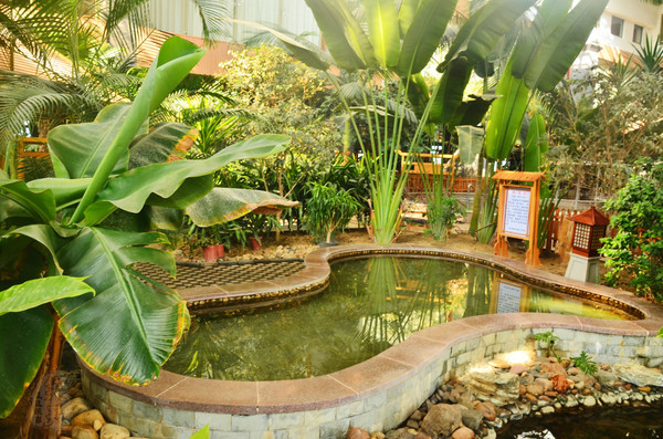 吉林市神农庄园视频,吉林神农庄园温泉度假村