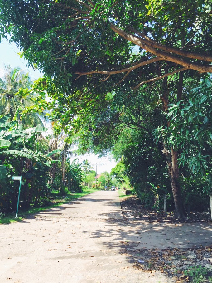 菲律宾潜水游记 (回忆菲律宾潜水的时光)