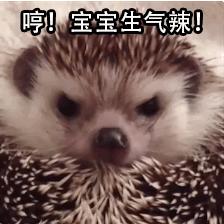 今天还是一如既往的冷！每日轻松一刻1月24日周日版