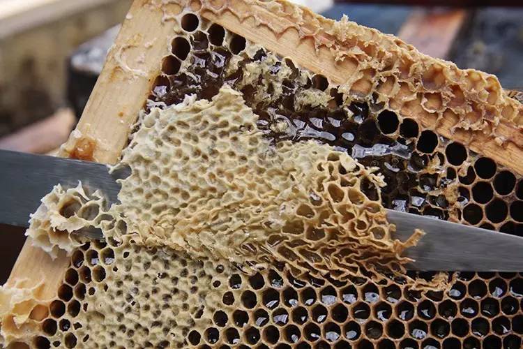 中古开箱分享,中古香水开箱