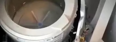 国庆每日晨读,晨读英语美文新年快乐