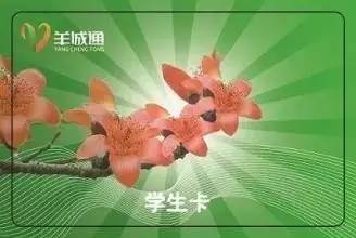 羊城通之前丢了钱没了怎么找回,羊城通卡丢了可以补办电子卡吗