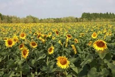 国庆节后浦东什么景点好看,上海国庆浦东这边有啥好玩的