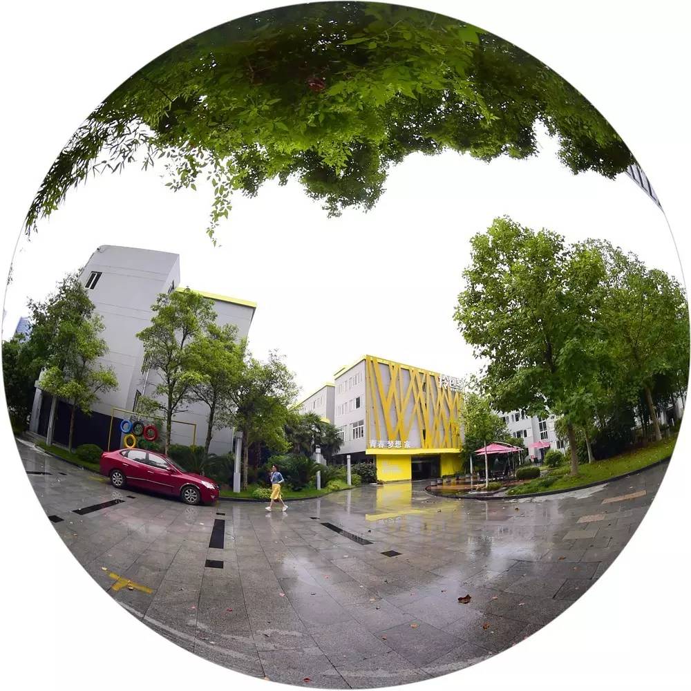 滨江公寓出租拎包入住,滨江国际精装拎包入住