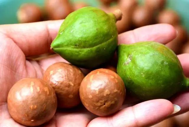 元江的特色美食有哪些 (元江美食干货)