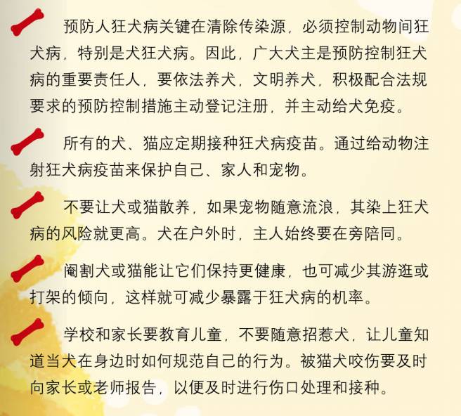 文明养犬的经典语句,文明养犬该怎么做