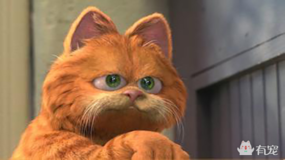 如果你是加菲，你会问吗？