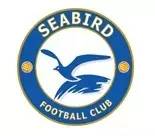 绿茵场和足球场,绿茵联手计划足球赛