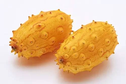 鍗佸ぇ鍦熻豹姘存灉,鍦熻豹鍚冨緱璧风殑鍥涚椤剁骇姘存灉