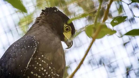 朋友圈发海边泳衣照好不好,朋友圈晒沙滩泳装
