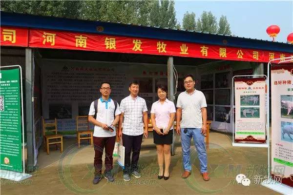 河南养猪业巨头,河南养猪身价百倍