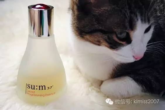 全球十大机场免税店购物攻略,明斯克机场免税店购物攻略