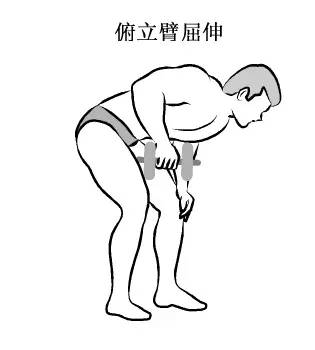 在家用哑铃锻炼背详细教学,瘦子在家哑铃锻炼全身肌肉