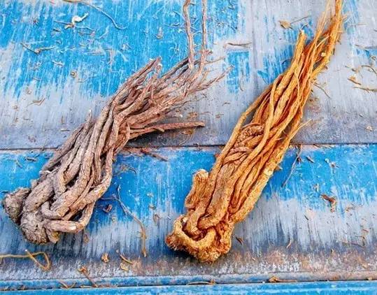 中药质量下降的主要原因,中药制剂质量存在的问题