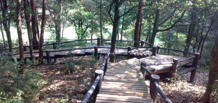 丽水瓯江风光豪华民宿视频,丽水十大必住民宿