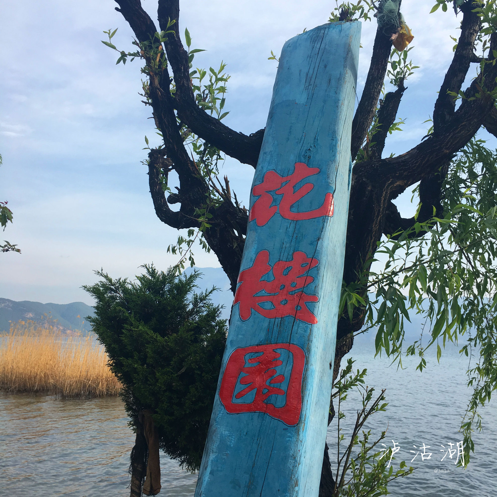 泸沽湖最好的酒店推荐哪家,泸沽湖酒店中高档排名