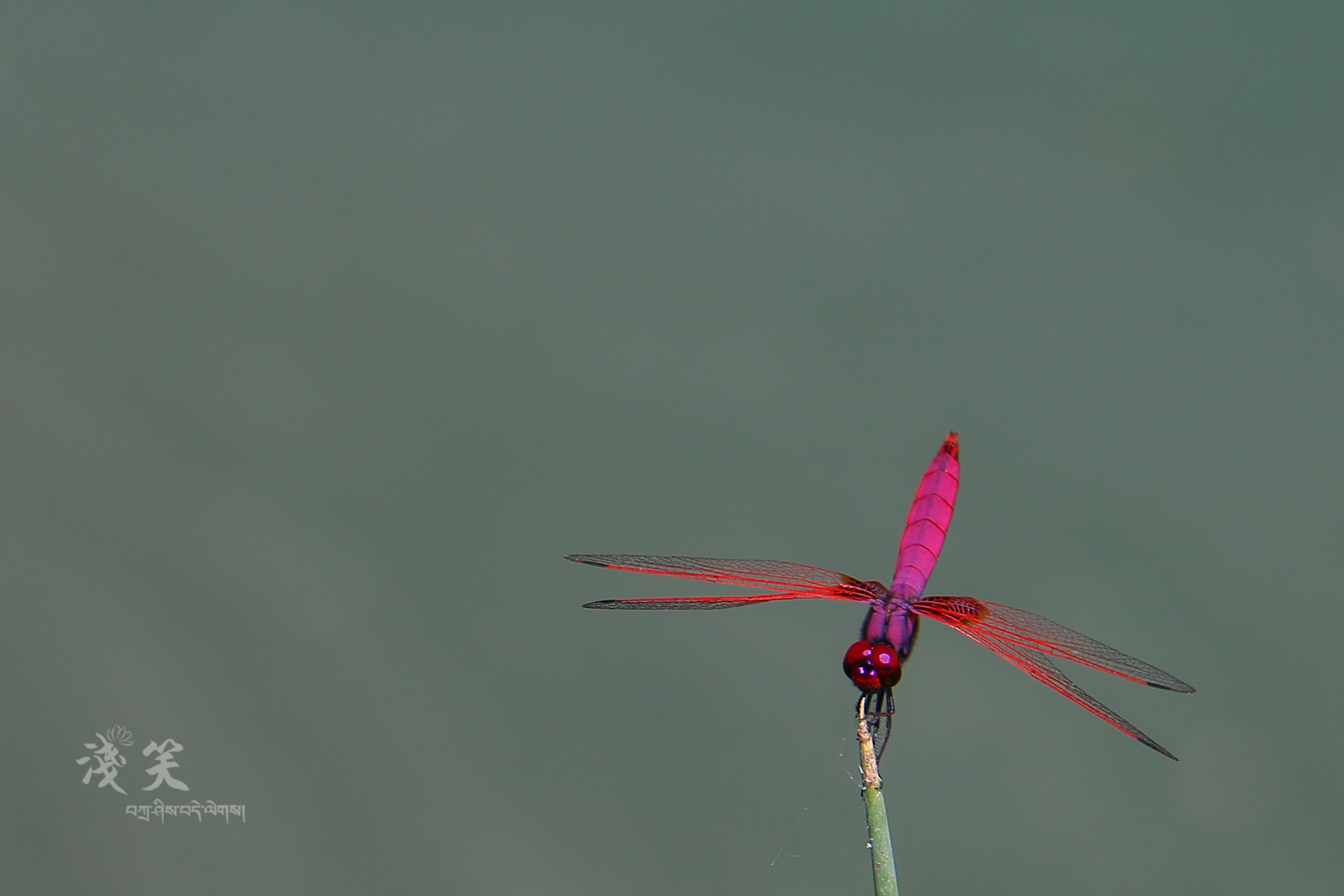 秀出浙江新高度,东阳凤凰谷天澜度假酒店儿童房