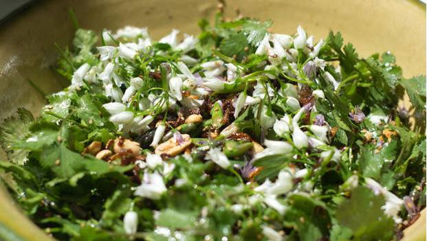 日本人喜欢的香菜,日本人有多喜欢香菜