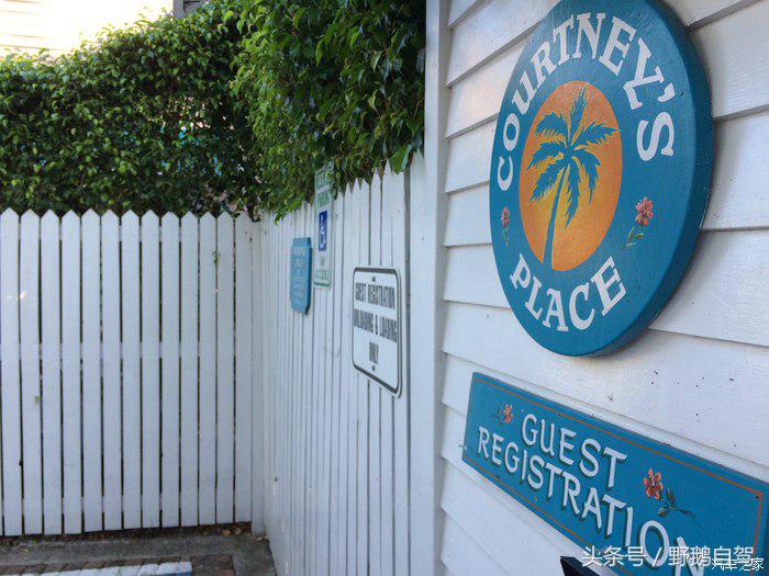 野鹅旅行,野鹅自驾无人区