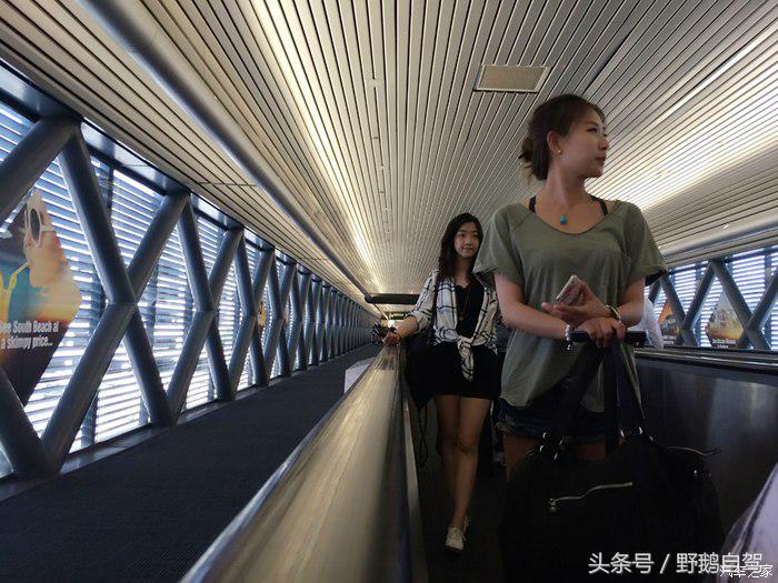 野鹅旅行,野鹅自驾无人区