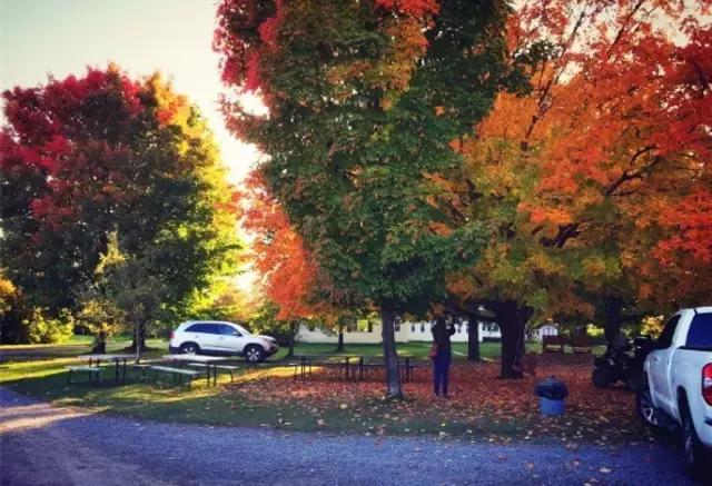你们都错了，其实加拿大的秋季才是最厉害的时装大师