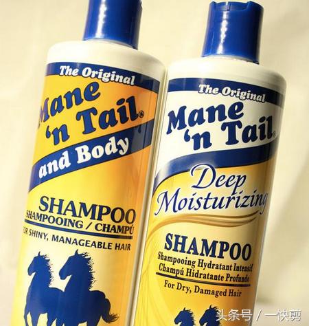六种公认最好的洗发水,理发店重金属洗发水