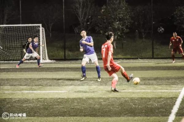 植物争霸赛新五强vs老五强,五甲联赛总决赛赛程