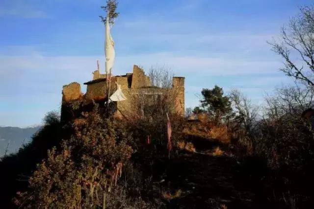 奇葩牧场|不养牛不养羊,居然养这个?