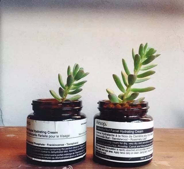 伊索aesop护肤品怎么样,澳洲aesop伊索香芹籽