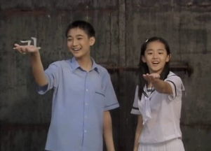 电影英雄背景音乐纯音乐,著名电影中的纯音乐