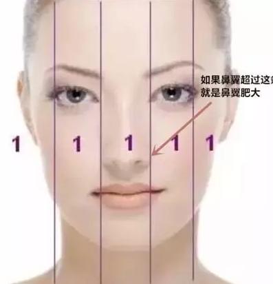 大鼻子不好看咋办,大鼻子好看还是小鼻子好看