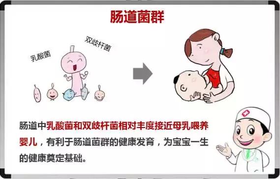 缇庝附鍖椾含,缇庝附鍖椾含鍒涙剰