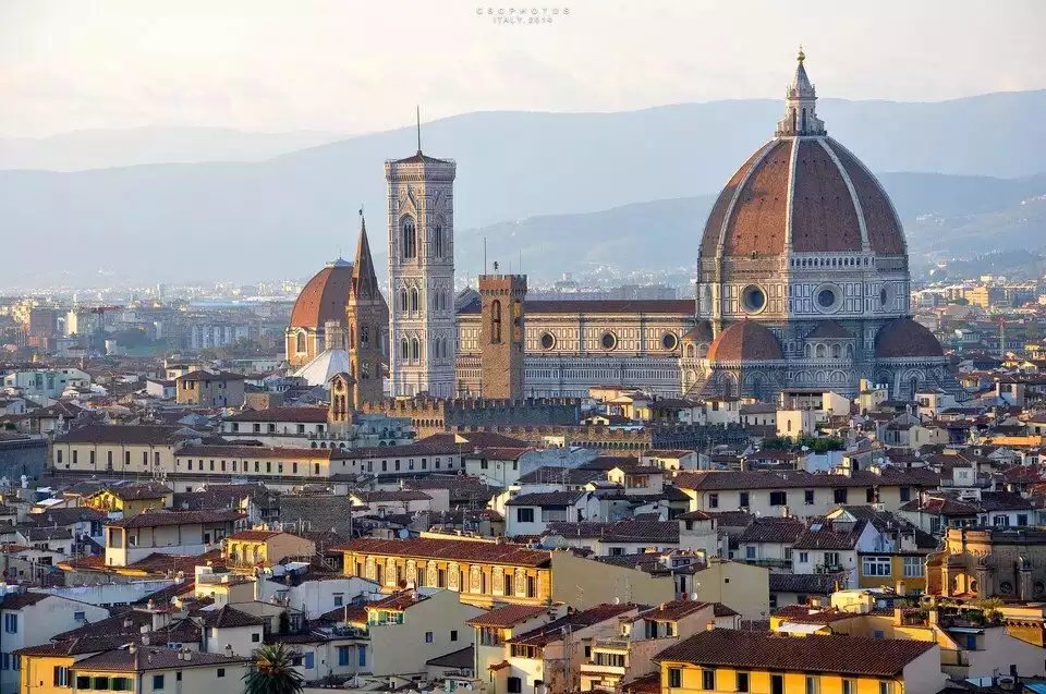 蓝瘦香菇在这里视频,蓝瘦香菇在法国