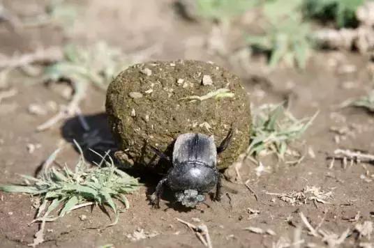 六岁孩子脑筋急转弯大全,睡前陪孩子玩脑筋急转弯