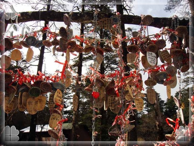 2015游云南玉龙雪山 (昆明玉龙雪山之旅)