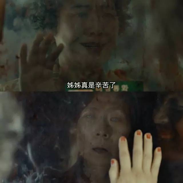 僵尸末日生存指南新手攻略,僵尸生存指南的真实案例