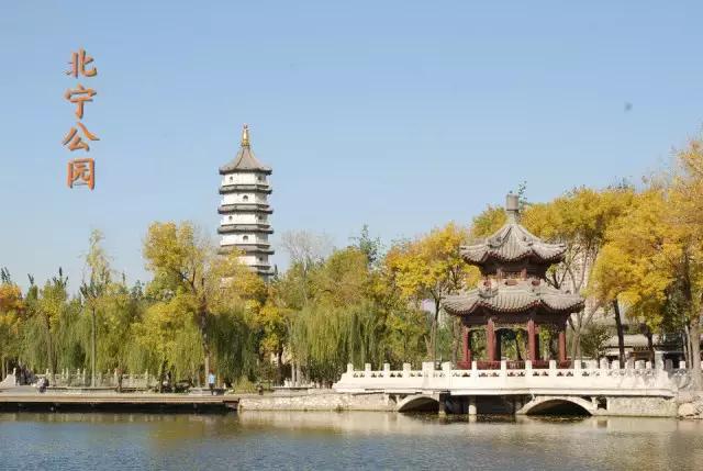 十一回老家不回家,十一回家看看回不去的老家