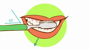不正确的刷牙方式导致牙根外露,正确的刷牙方法横着刷还是竖着刷