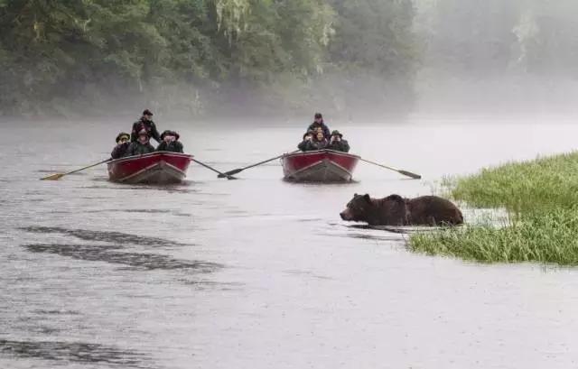 中国人最想去的地方,中国人最想去的旅游地前十
