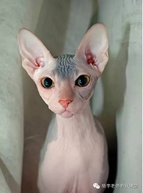 一招搞定松弛面部,脸部防松弛推荐