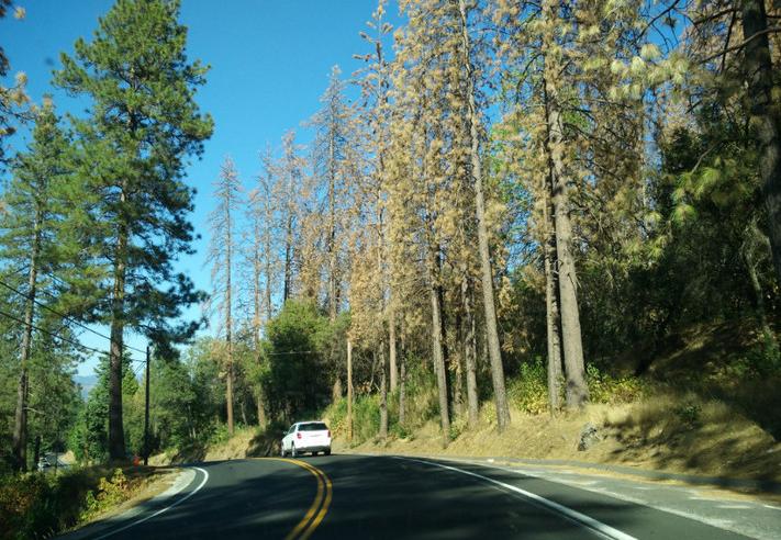 美国优胜国家森林公园,美国优胜美地国家森林公园风光