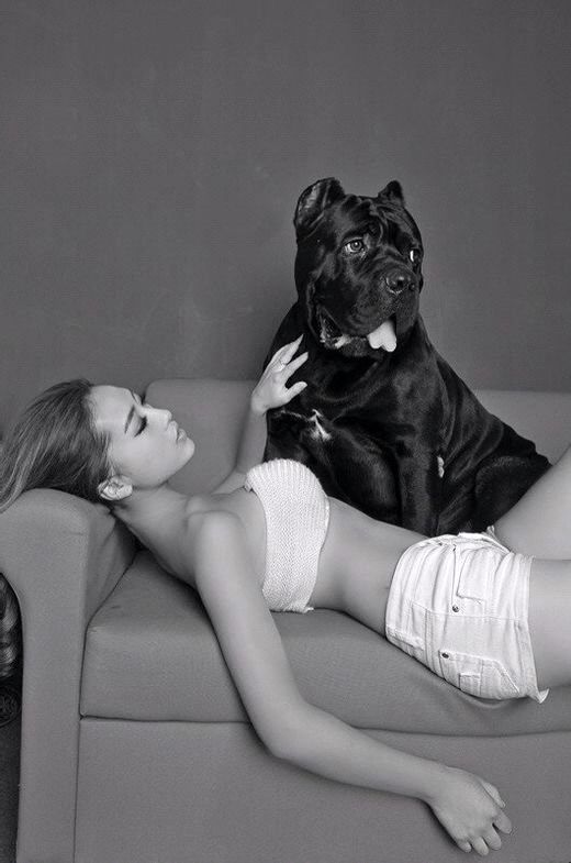 杜宾罗威纳卡斯罗,卡斯罗vs罗威纳