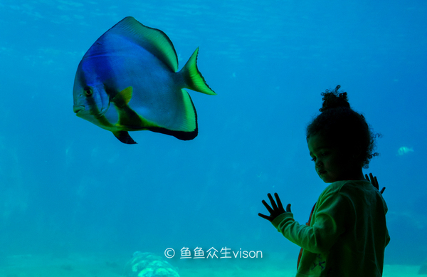 揭秘金银岛宝藏之谜,金银岛神秘之谜