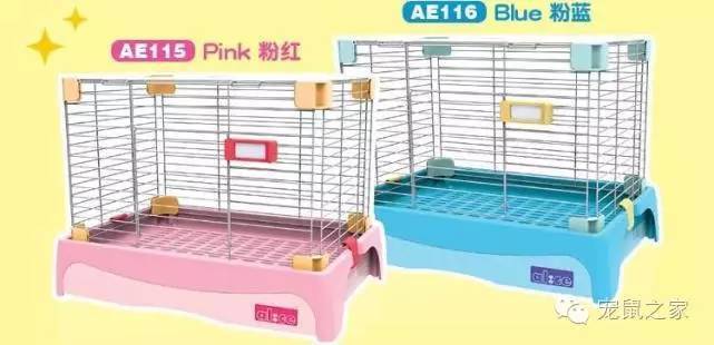 豚鼠各类饲养装备优缺点汇总之上篇