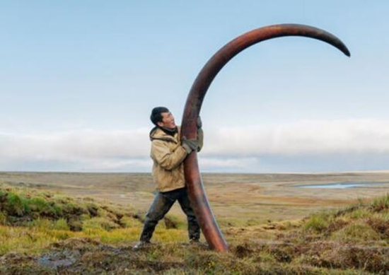 俄罗斯哪个地方遍地黄金 (俄罗斯遍地都是黄金的地方)