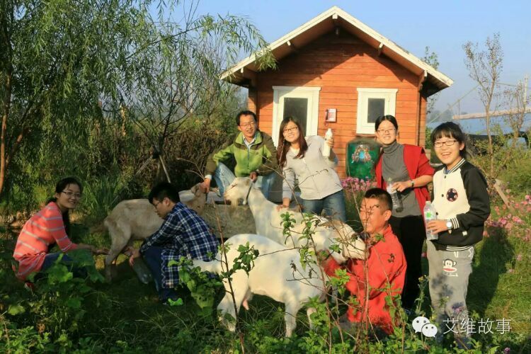 艾维wwoofer之：一路前行，一路感动