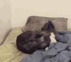 女朋友口红断了怎么补救,弄断口红