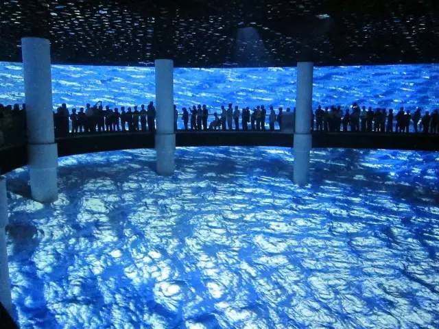 今朝上海|冷飕飕,湿嗒嗒,寒露到!铜钿没,假期光,七天班!眼泪水嗒嗒滴!