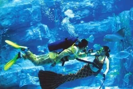 成都主题乐园推荐,成都新增的主题乐园