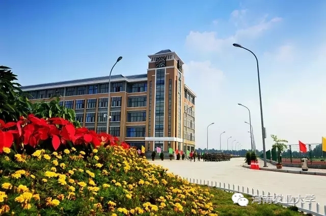 特别策划三分钟过后，农大小石榴马上开挂成老鸟！